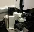 This is a photo of an optical microscope