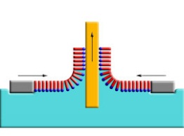 This is an image of a Langmuir-Blodgett transfer onto gold