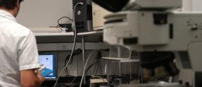 This is a photo of an optical microscope