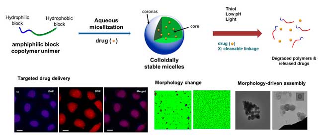 This is an image of drug delivery projects