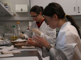 This is a photo of students at work in the Cuccia lab