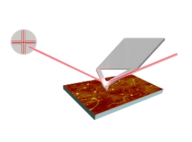 This is an image of the working principle of AFM