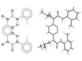 This is an image of the crystal structure of a urea-linked pyridazine foldamer