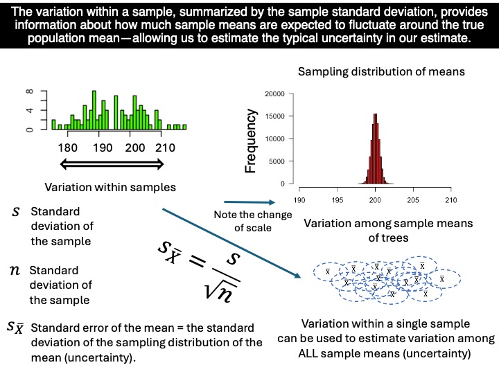 Tutorial 5: Sampling variation | Biostatistics - BIOL322